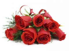 www.paginasindicatelor.ro