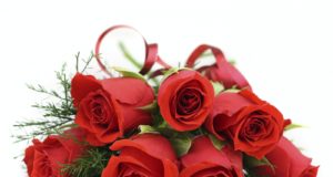 www.paginasindicatelor.ro
